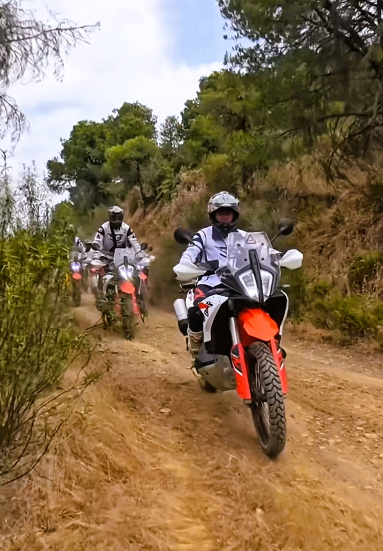 Two riders on KTM adventure bikes on a dirt track through pine woods