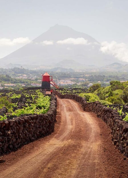 Dirt road between lava stone walls with Mount Pico in the background, Azores