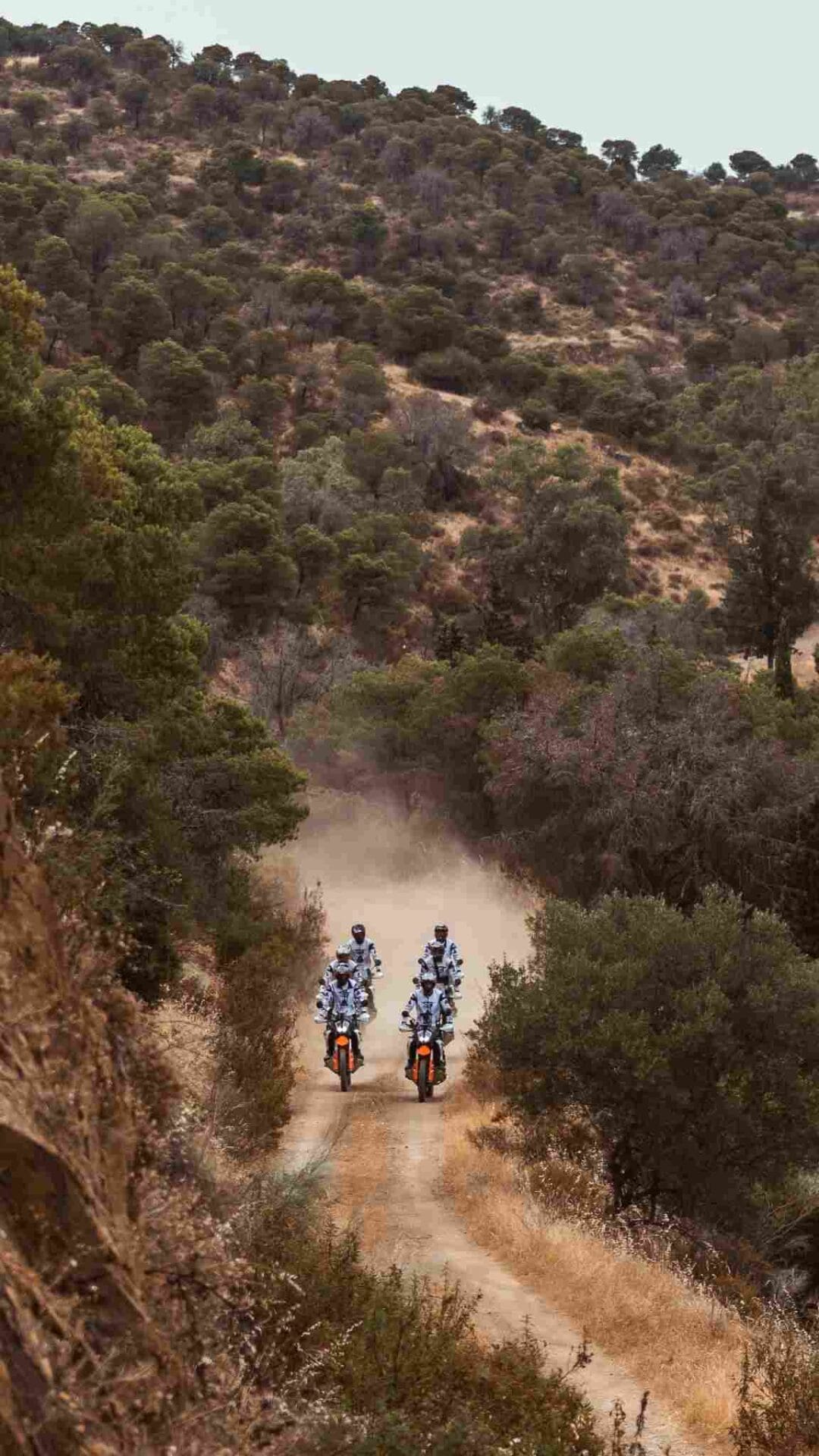 Two riders on KTM adventure bikes on a dirt track through wooded hills