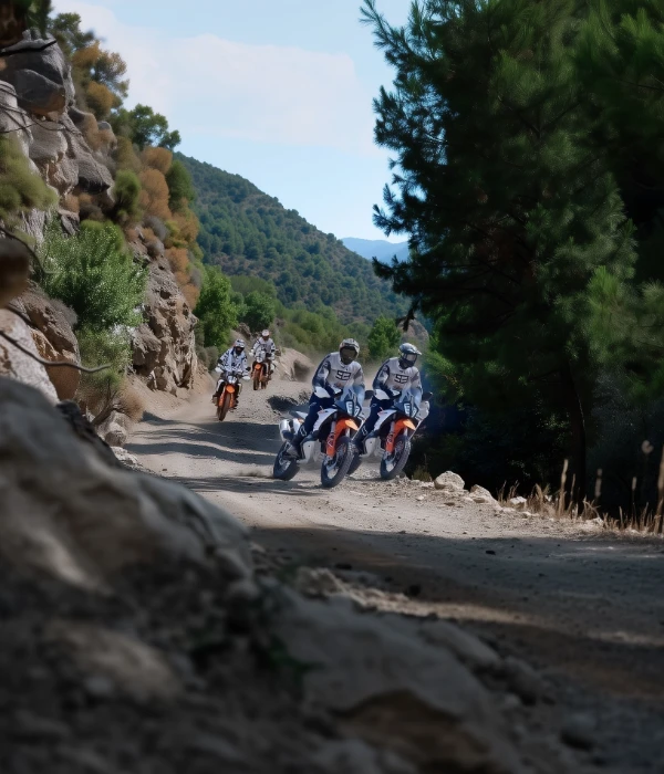 Riders on KTM adventure bikes on a gravel mountain track between pine trees and rock