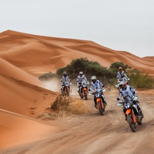 Group of riders on KTM adventure bikes crossing Sahara sand dunes on the TransMorocco tour