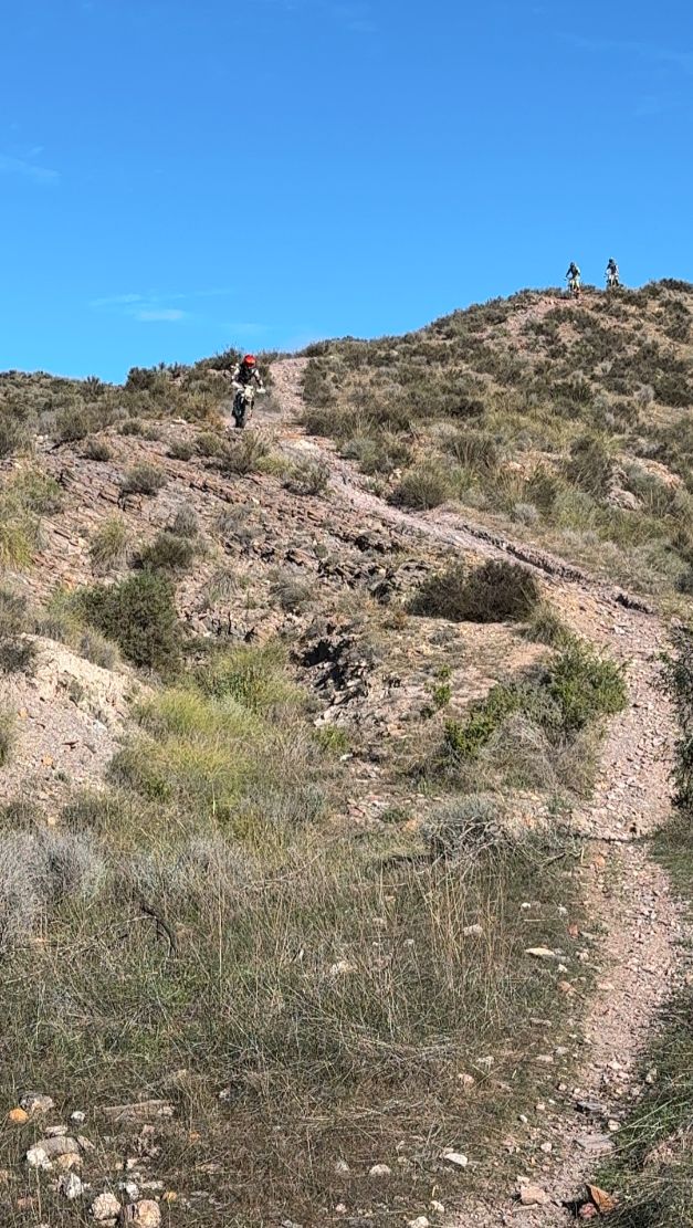 Enduro rider climbing a singletrack to the top of a scrubby hill