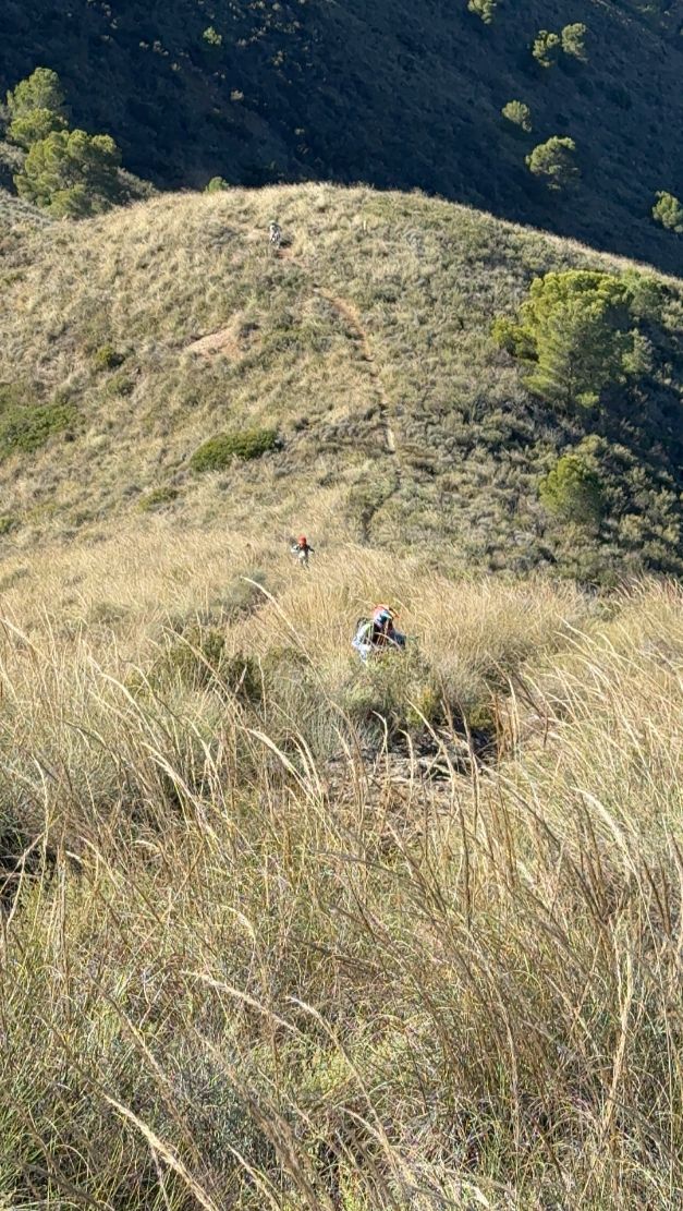 Enduro rider on a singletrack through a grassy hillside