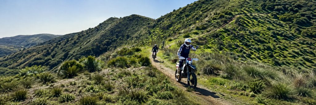 Riders on a guided motorcycle tour following a trail along a green mountain ridge