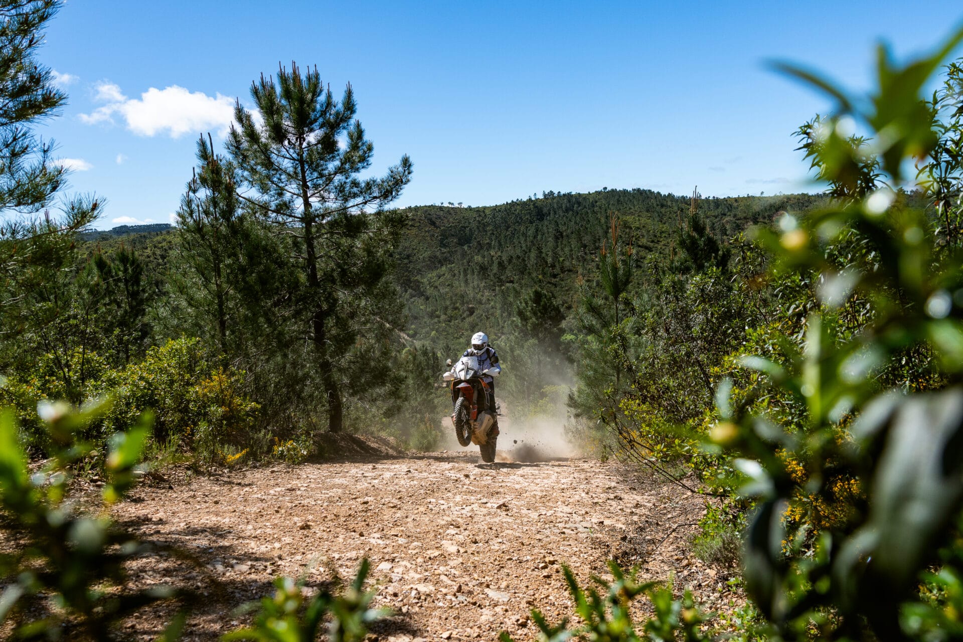 Rider on a KTM adventure bike on a gravel track through pine forest in Portugal