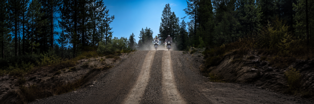 Riders on a gravel road through a pine forest