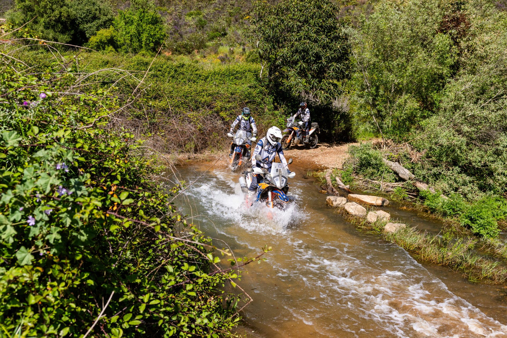 Riders on KTM adventure bikes crossing a shallow stream in green woodland in Portugal