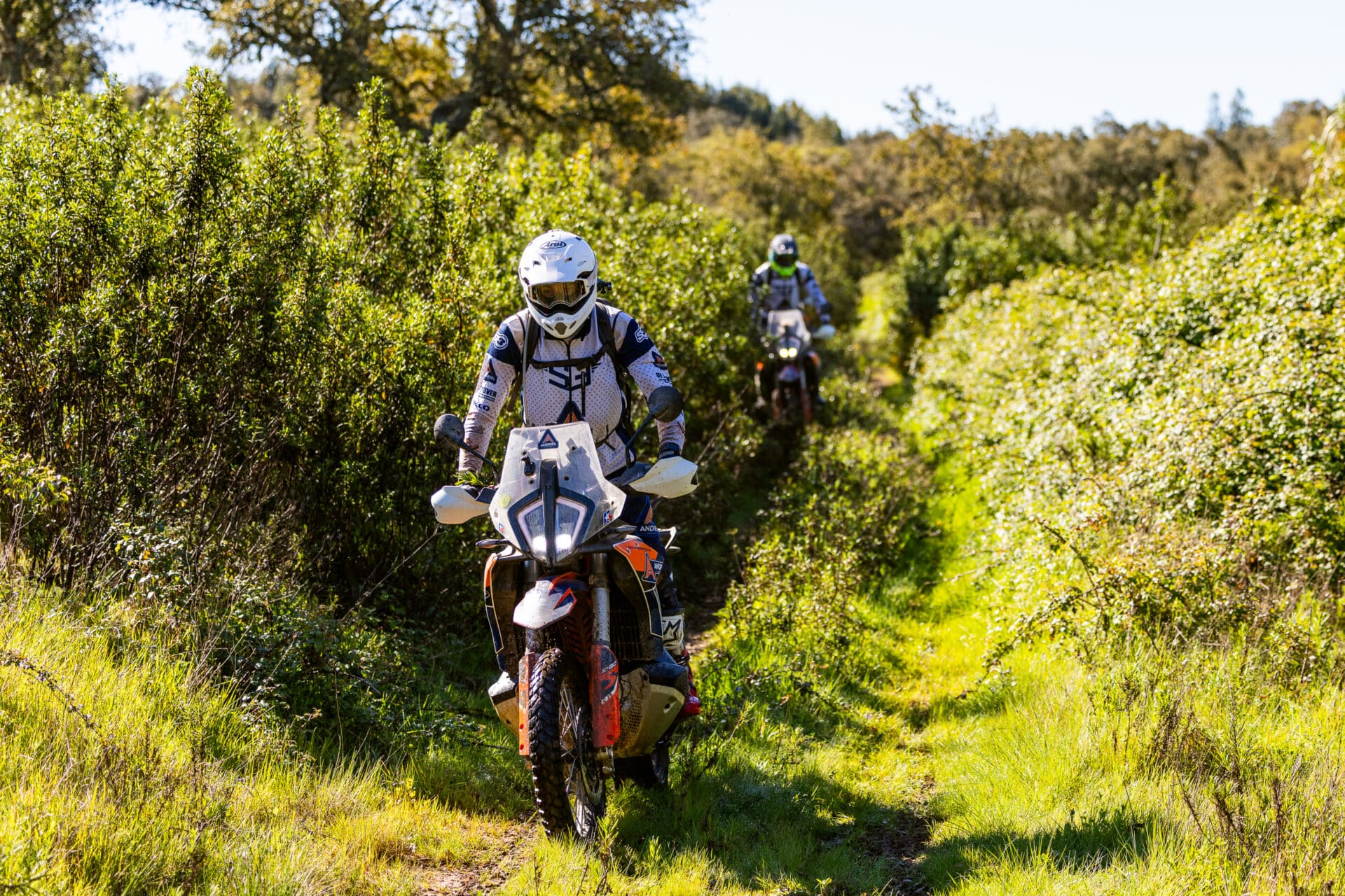 Rider on a KTM adventure bike on a grassy overgrown trail in Portugal