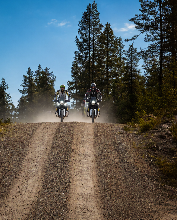 Two riders on KTM adventure bikes on a gravel road through a pine forest in the far north