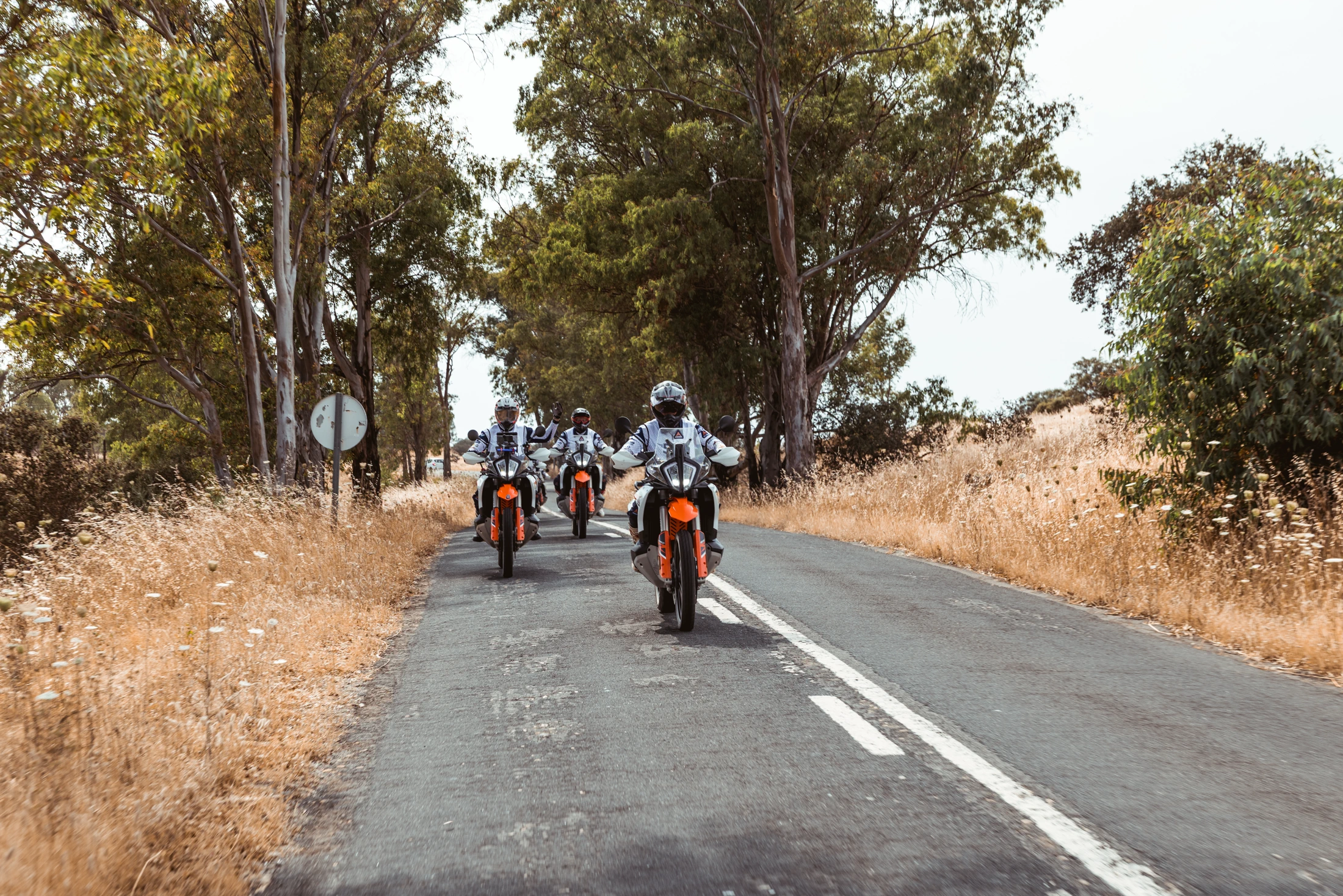 Group of riders on KTM adventure bikes on a eucalyptus-lined country road