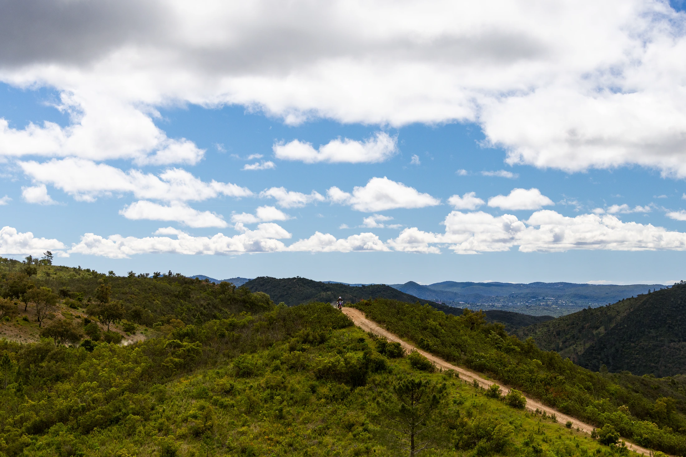 Dirt track winding over green forested hills in Portugal