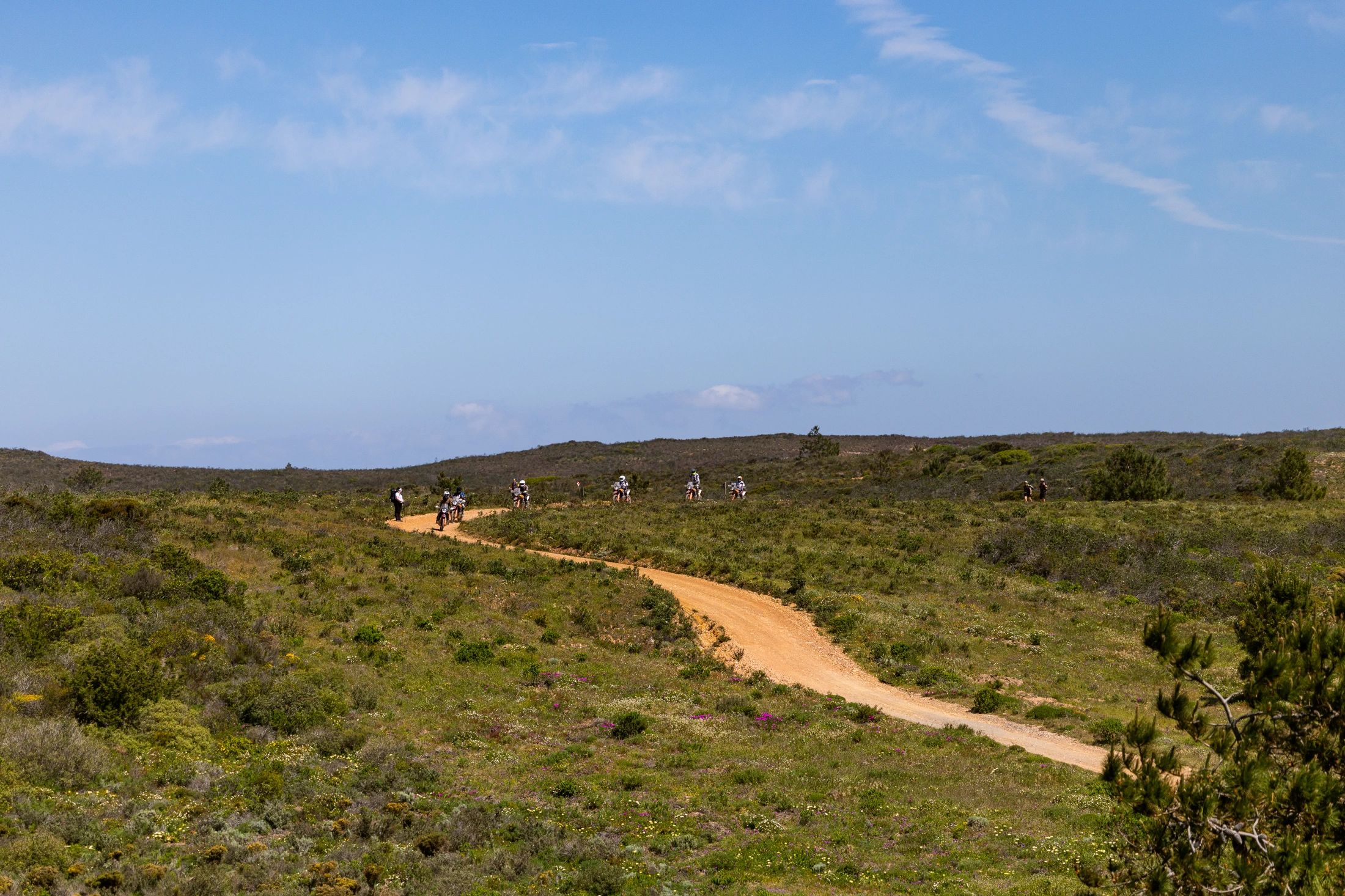 Riders on a dirt track across green heathland in Portugal