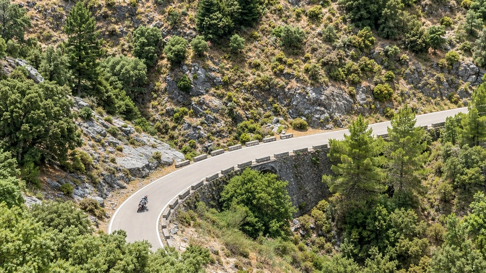 Rider on a sweeping mountain road through pine-covered slopes in Andalusia
