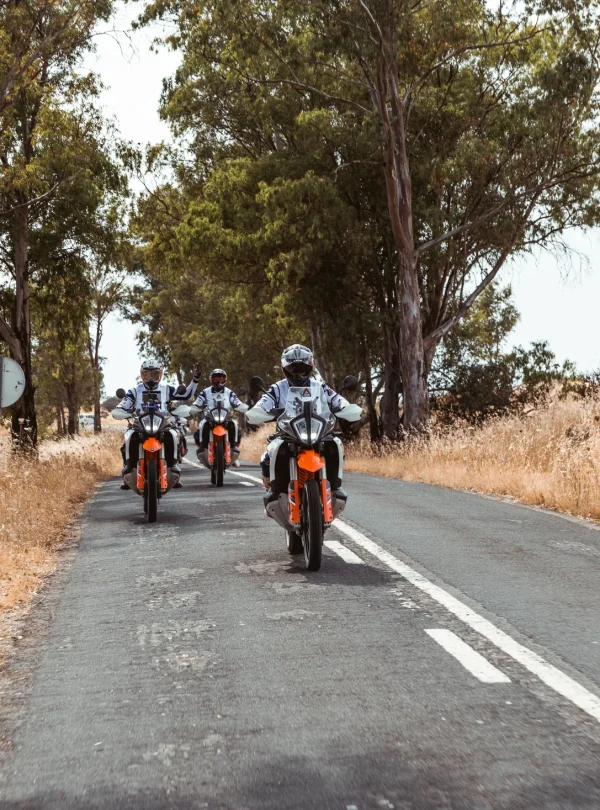 Group of riders on KTM adventure bikes on a tree-lined asphalt road