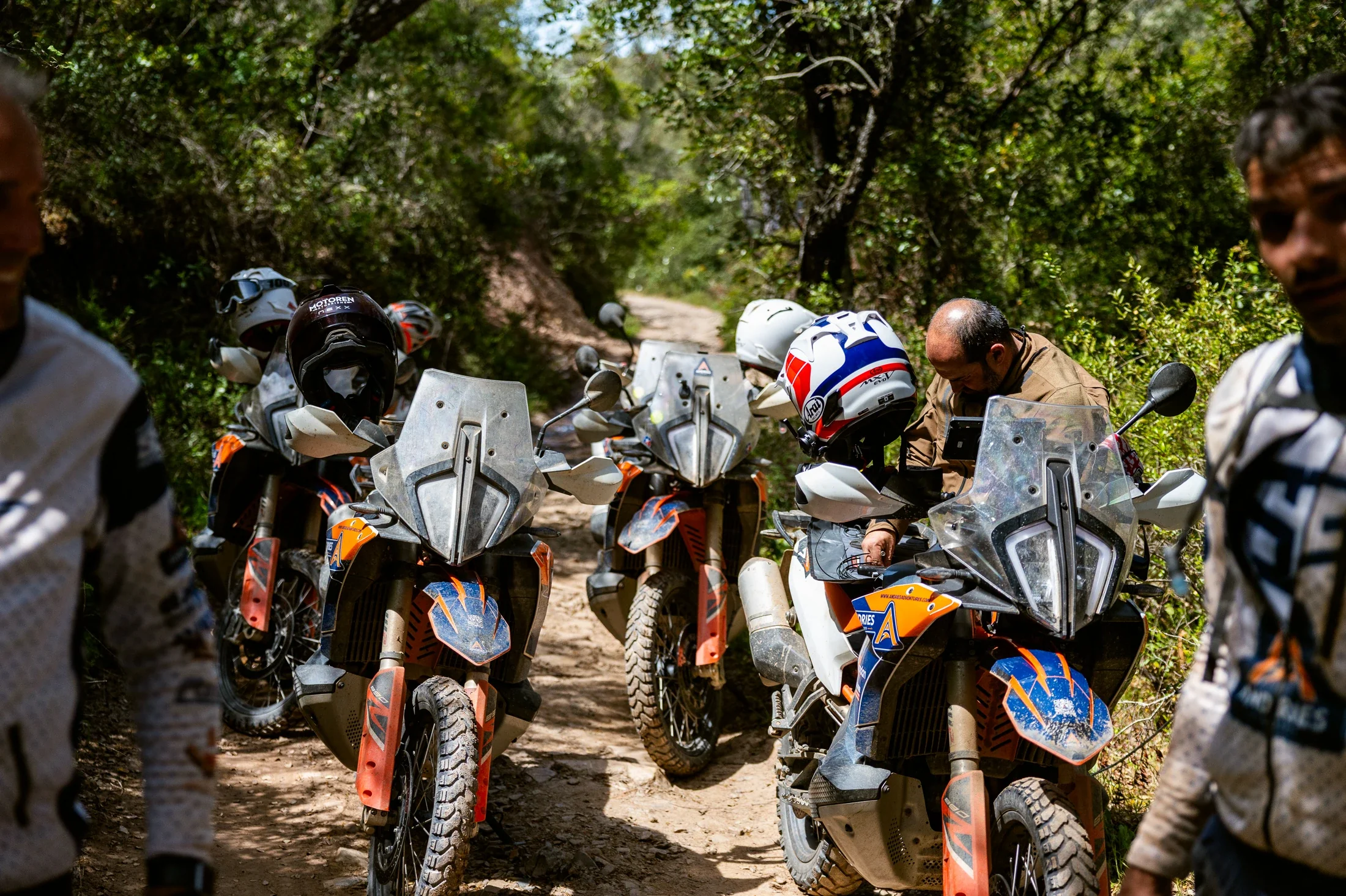 Riders stopped with their KTM adventure bikes on a shaded forest trail